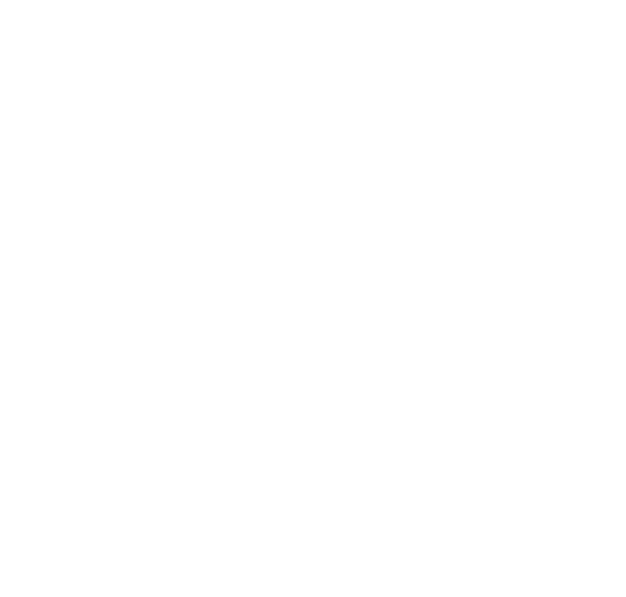 1. Pensión para auto transporte de carga